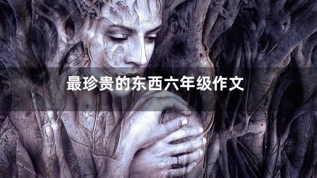 最珍贵的东西六年级作文