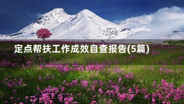定点帮扶工作成效自查报告(5篇)