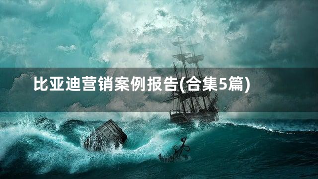 比亚迪营销案例报告(合集5篇)