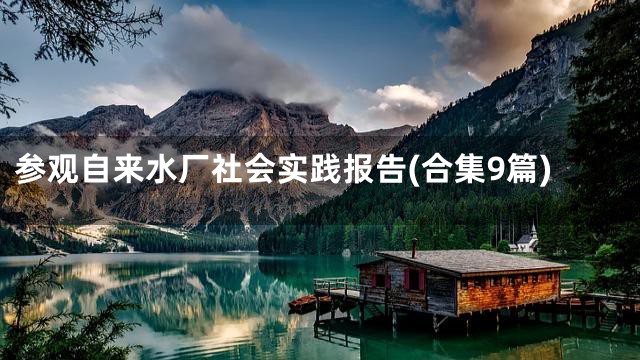 参观自来水厂社会实践报告(合集9篇)