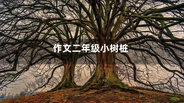 作文二年级小树桩
