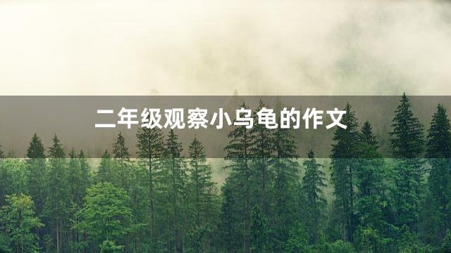 二年级观察小乌龟的作文