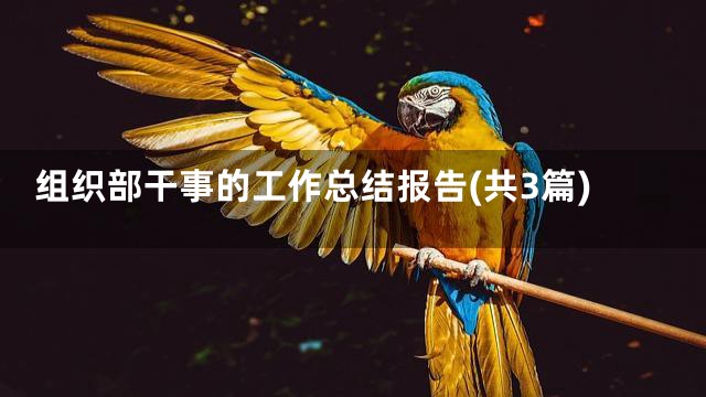 组织部干事的工作总结报告(共3篇)
