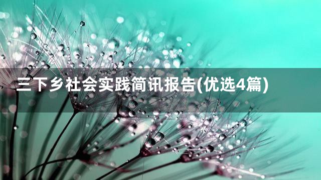 三下乡社会实践简讯报告(优选4篇)