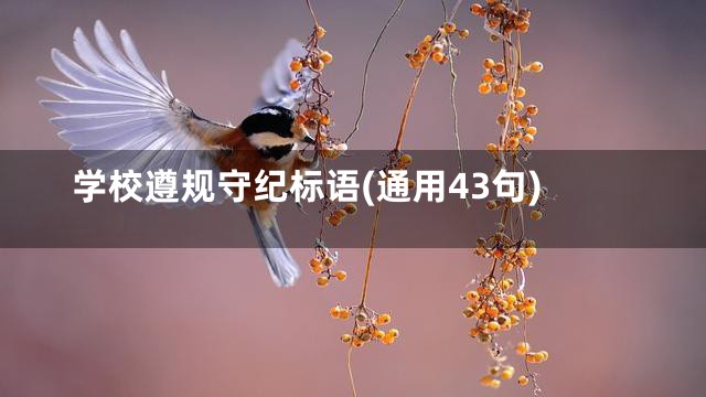 学校遵规守纪标语(通用43句)