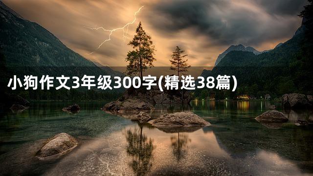 小狗作文3年级300字(精选38篇)