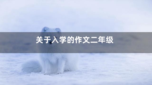 关于入学的作文二年级