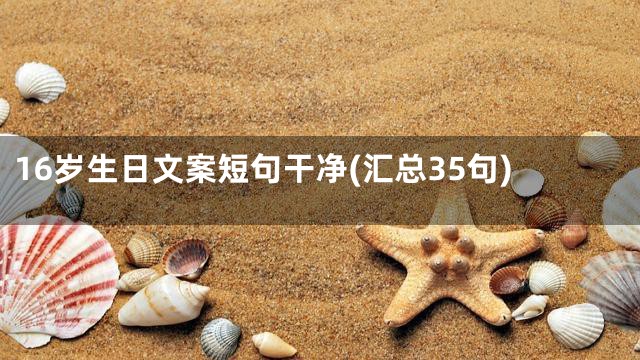 16岁生日文案短句干净(汇总35句)
