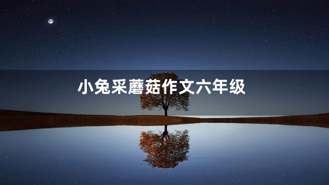 小兔采蘑菇作文六年级