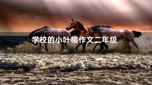 学校的小叶榕作文二年级