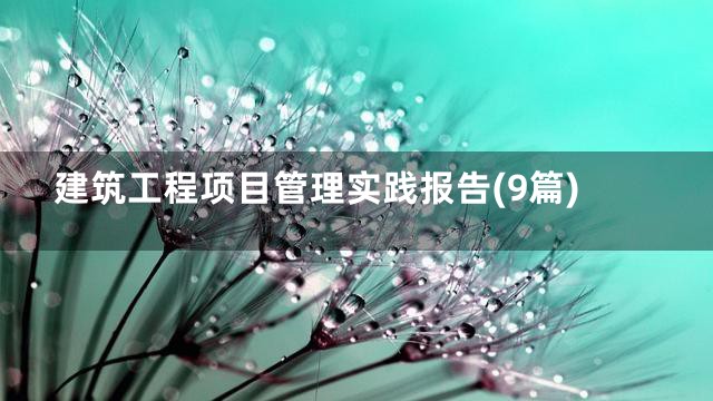 建筑工程项目管理实践报告(9篇)