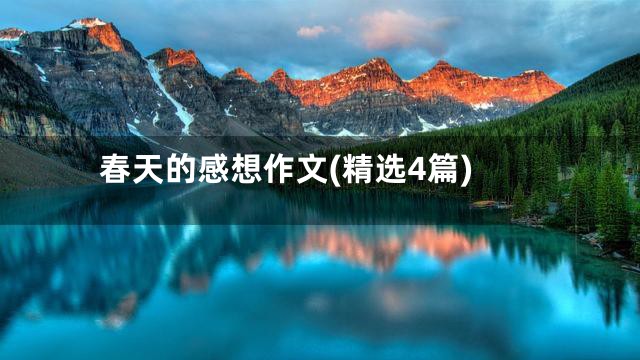 春天的感想作文(精选4篇)