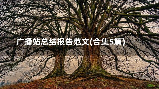广播站总结报告范文(合集5篇)
