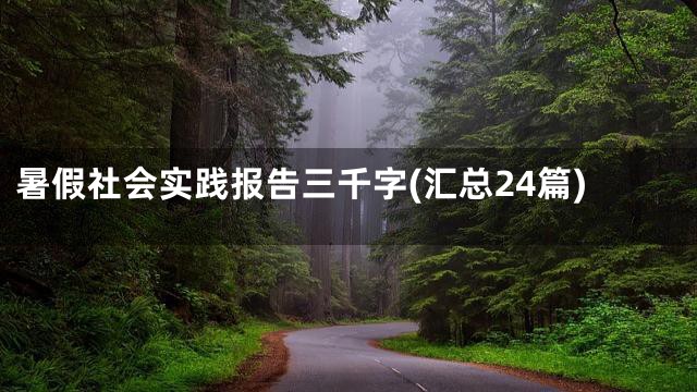 暑假社会实践报告三千字(汇总24篇)