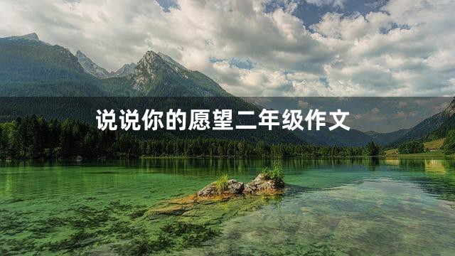 说说你的愿望二年级作文