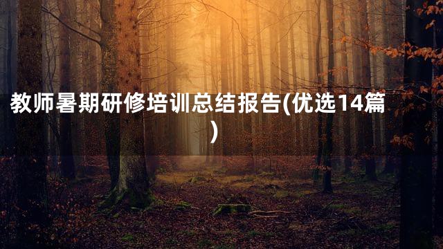 教师暑期研修培训总结报告(优选14篇)