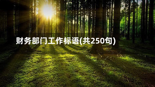 财务部门工作标语(共250句)