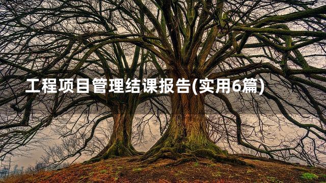 工程项目管理结课报告(实用6篇)