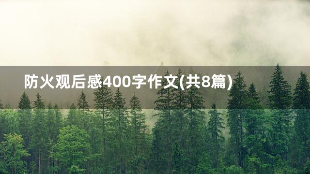 防火观后感400字作文(共8篇)