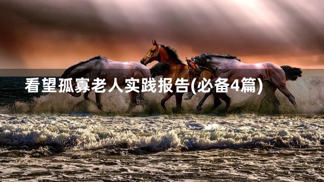 看望孤寡老人实践报告(必备4篇)