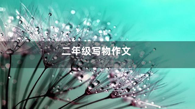 二年级写物作文