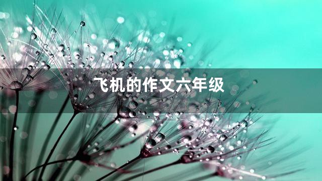 飞机的作文六年级