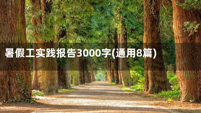 暑假工实践报告3000字(通用8篇)