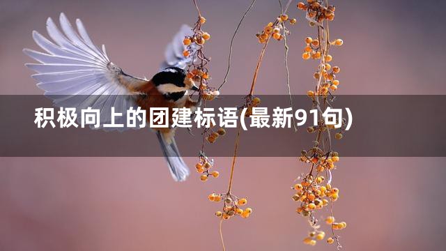 积极向上的团建标语(最新91句)