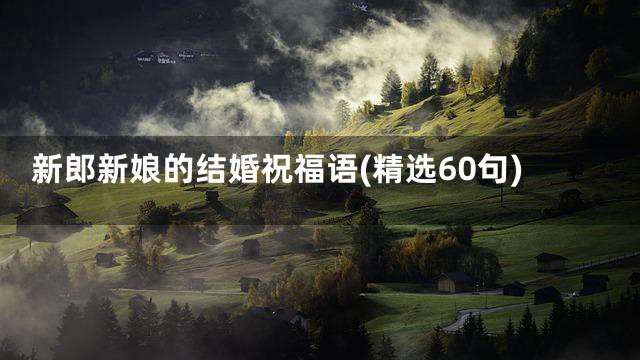 新郎新娘的结婚祝福语(精选60句)