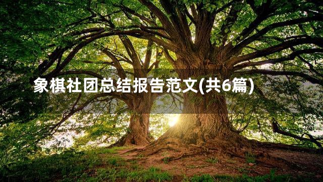 象棋社团总结报告范文(共6篇)