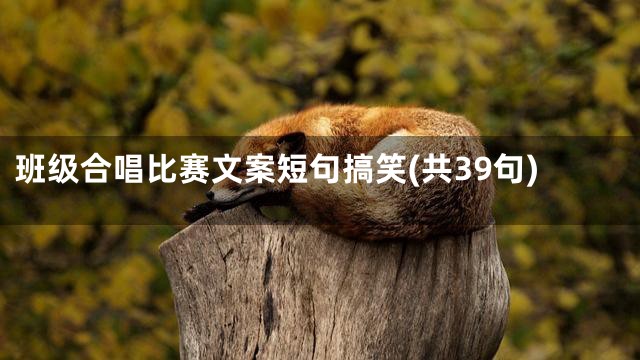 班级合唱比赛文案短句搞笑(共39句)