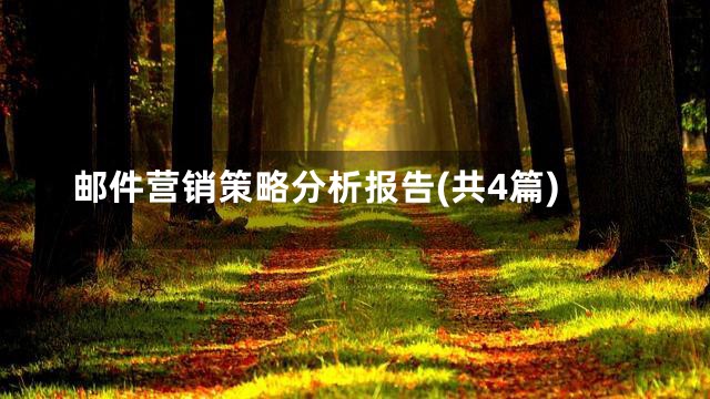 邮件营销策略分析报告(共4篇)