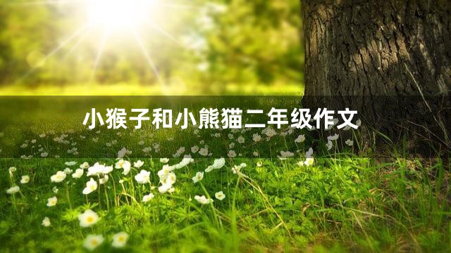 小猴子和小熊猫二年级作文