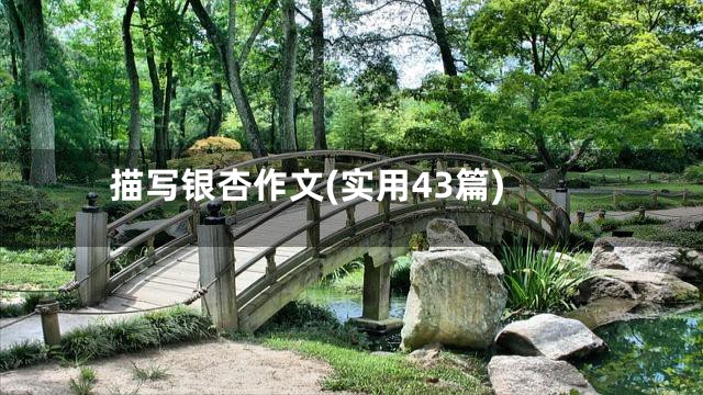 描写银杏作文(实用43篇)