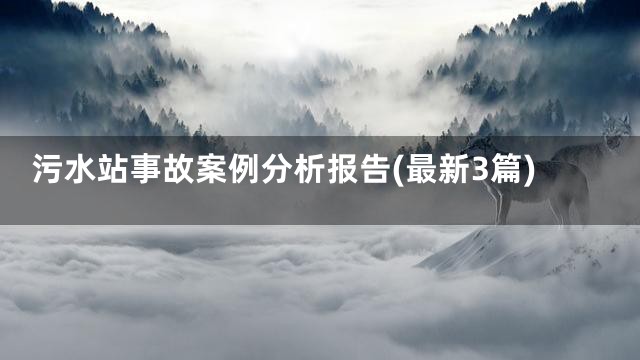 污水站事故案例分析报告(最新3篇)