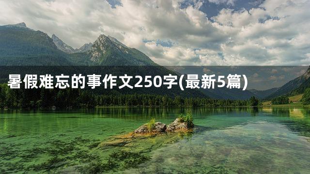暑假难忘的事作文250字(最新5篇)