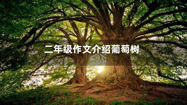 二年级作文介绍葡萄树