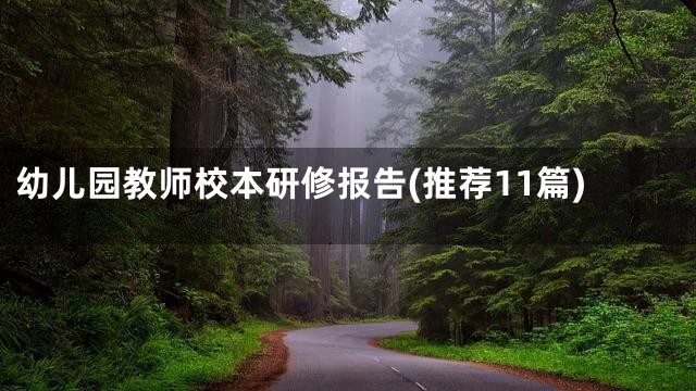 幼儿园教师校本研修报告(推荐11篇)