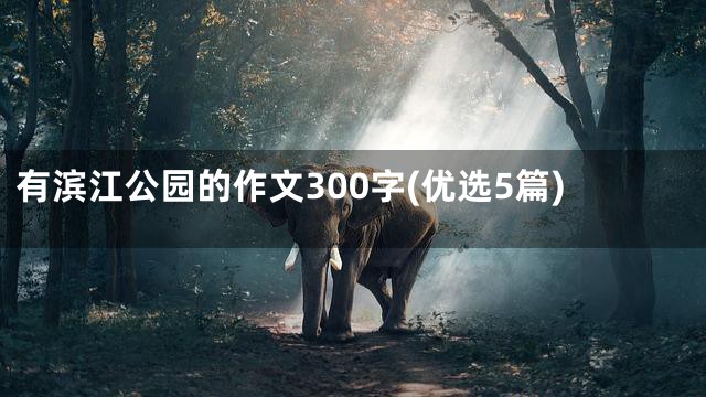 有滨江公园的作文300字(优选5篇)