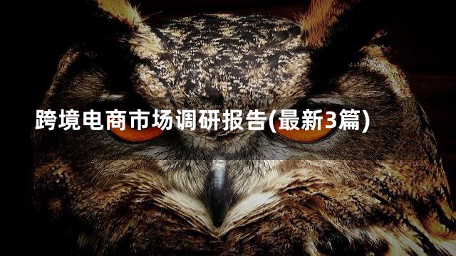 跨境电商市场调研报告(最新3篇)