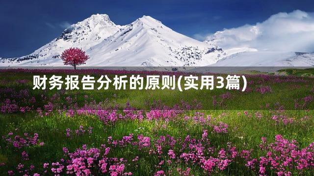 财务报告分析的原则(实用3篇)